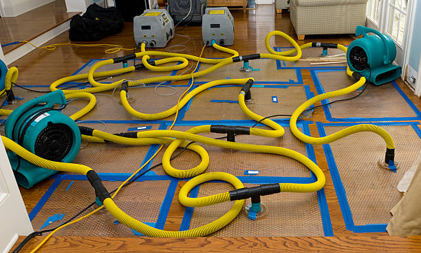Professional Sewage Cleanup technician working in Lafferty, OH